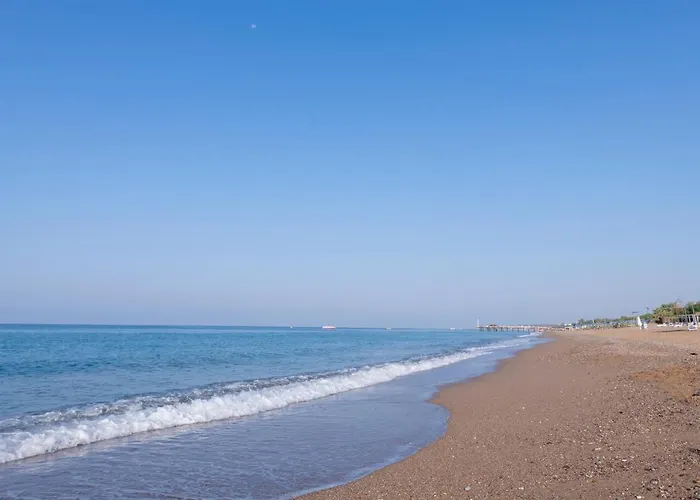 Lrs River & 5* 시데